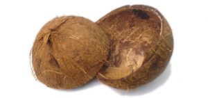 coconut-shell-341565_1920-960x450
